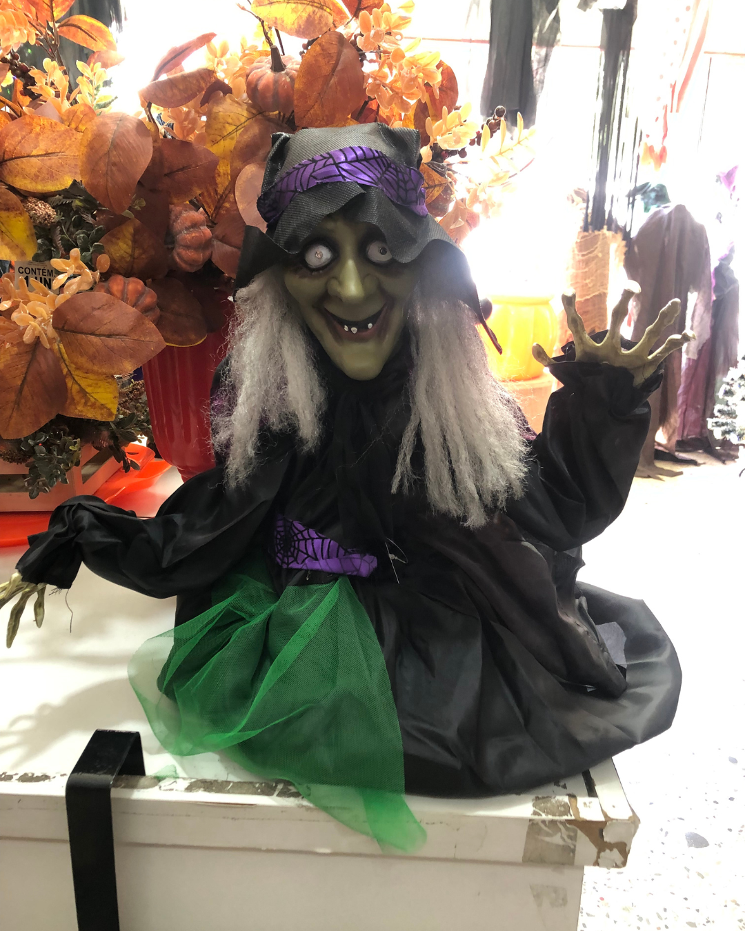 Hallloween (2)